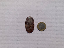 Charger l'image dans la galerie, Agate sagénitique 30