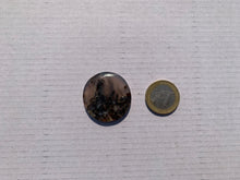 Charger l'image dans la galerie, Agate sagénitique 32