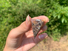 Charger l'image dans la galerie, Agate sagénitique 33