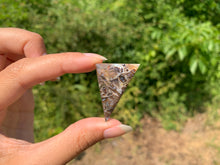 Charger l'image dans la galerie, Agate sagénitique 33