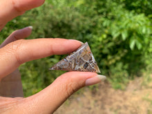 Charger l'image dans la galerie, Agate sagénitique 33