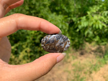 Charger l'image dans la galerie, Agate sagénitique 34