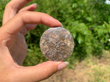 Charger l'image dans la galerie, Agate sagénitique 35