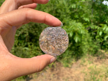 Charger l'image dans la galerie, Agate sagénitique 35