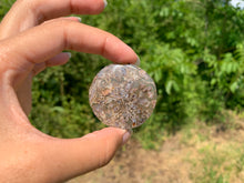 Charger l'image dans la galerie, Agate sagénitique 35