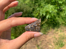 Charger l'image dans la galerie, Agate sagénitique 40