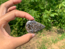 Charger l'image dans la galerie, Agate sagénitique 41