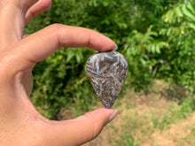 Charger l'image dans la galerie, Agate sagénitique 41