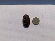 Charger l'image dans la galerie, Agate sagénitique 42