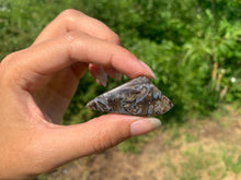 Charger l'image dans la galerie, VENDU Agate sagénitique 44