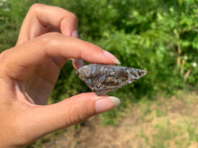 Charger l'image dans la galerie, VENDU Agate sagénitique 44