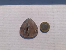 Charger l'image dans la galerie, Agate sagénitique 39