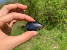 Charger l'image dans la galerie, Oeil de faucon mélangé avec de l'oeil de tigre 24