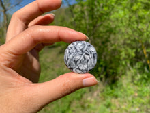 Charger l'image dans la galerie, Pinolite 8