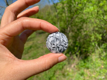 Charger l'image dans la galerie, Pinolite 8