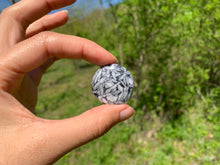 Charger l'image dans la galerie, Pinolite 8