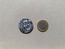 Charger l'image dans la galerie, Pinolite 8