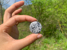 Charger l'image dans la galerie, Pinolite 14