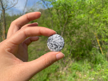 Charger l'image dans la galerie, Pinolite 14