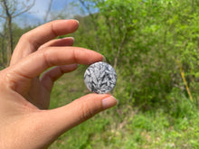 Charger l'image dans la galerie, Pinolite 14