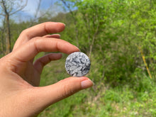 Charger l'image dans la galerie, Pinolite 14