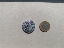 Charger l'image dans la galerie, Pinolite 14