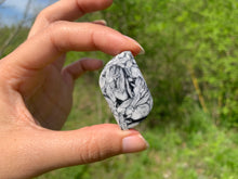 Charger l'image dans la galerie, Pinolite 15