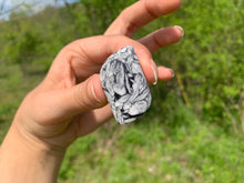 Charger l'image dans la galerie, Pinolite 15