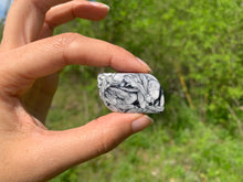 Charger l'image dans la galerie, Pinolite 15