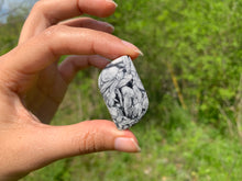 Charger l'image dans la galerie, Pinolite 15