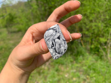 Charger l'image dans la galerie, Pinolite 15