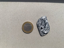 Charger l'image dans la galerie, Pinolite 15