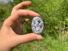 Charger l'image dans la galerie, Pinolite 16