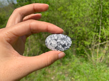 Charger l'image dans la galerie, Pinolite 16