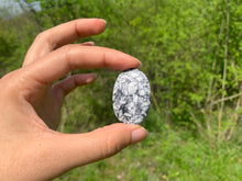 Charger l'image dans la galerie, Pinolite 16