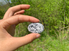 Charger l'image dans la galerie, Pinolite 16