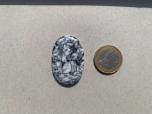 Charger l'image dans la galerie, Pinolite 16