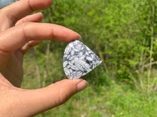 Charger l'image dans la galerie, Pinolite 17