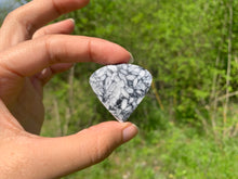 Charger l'image dans la galerie, Pinolite 17