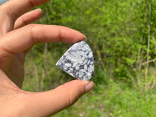 Charger l'image dans la galerie, Pinolite 17