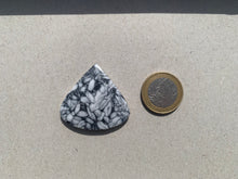 Charger l'image dans la galerie, Pinolite 17