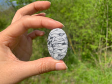 Charger l'image dans la galerie, Pinolite 19