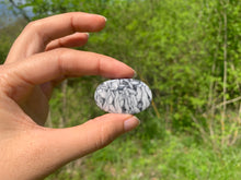 Charger l'image dans la galerie, Pinolite 19