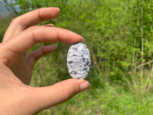 Charger l'image dans la galerie, Pinolite 19