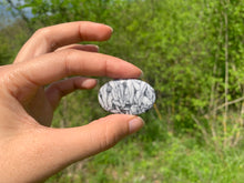 Charger l'image dans la galerie, Pinolite 19