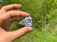 Charger l'image dans la galerie, Pinolite 20