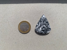 Charger l'image dans la galerie, Pinolite 20