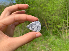 Charger l'image dans la galerie, Pinolite 21