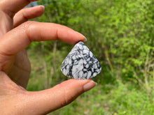 Charger l'image dans la galerie, Pinolite 22