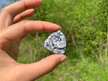 Charger l'image dans la galerie, Pinolite 22